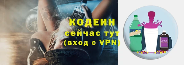 прущие грибы Покачи