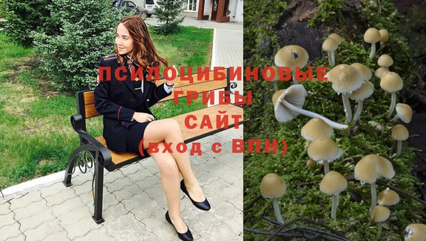 таблы Верея