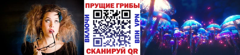 Псилоцибиновые грибы MAGIC MUSHROOMS Пикалёво